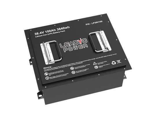LiFePO4 Oplaadbare 36V 100Ah Golfkartenbatterij met lange levensduur OEM Service