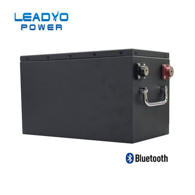 Van de het Golfkar van LEADYO 5KWH LiFePO4 de Batterij48v 200ah Hoge Capaciteit