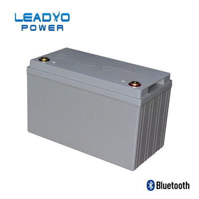 van de de Batterij het Diepe Cyclus van 50Ah 24V Lifepo4 Lithium Ion Battery Weight 31 Pond